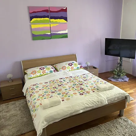 Erika Apartment Kastav
